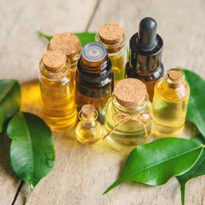 A selection of aromatherapy bottles surrounded by leaves